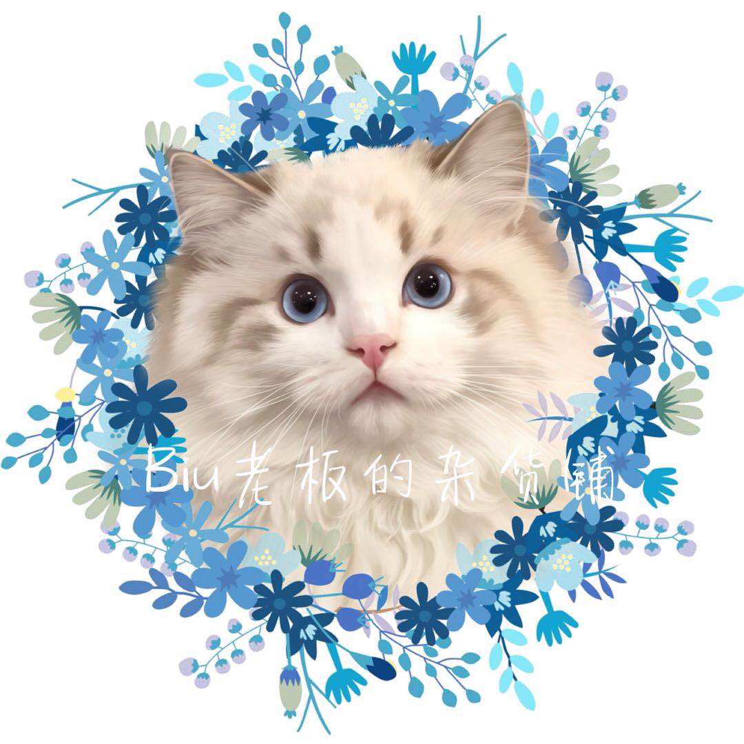 biu老板的杂货铺