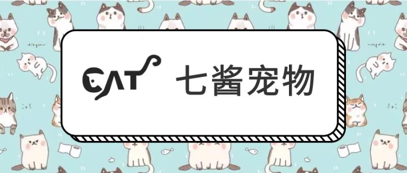 七酱宠物