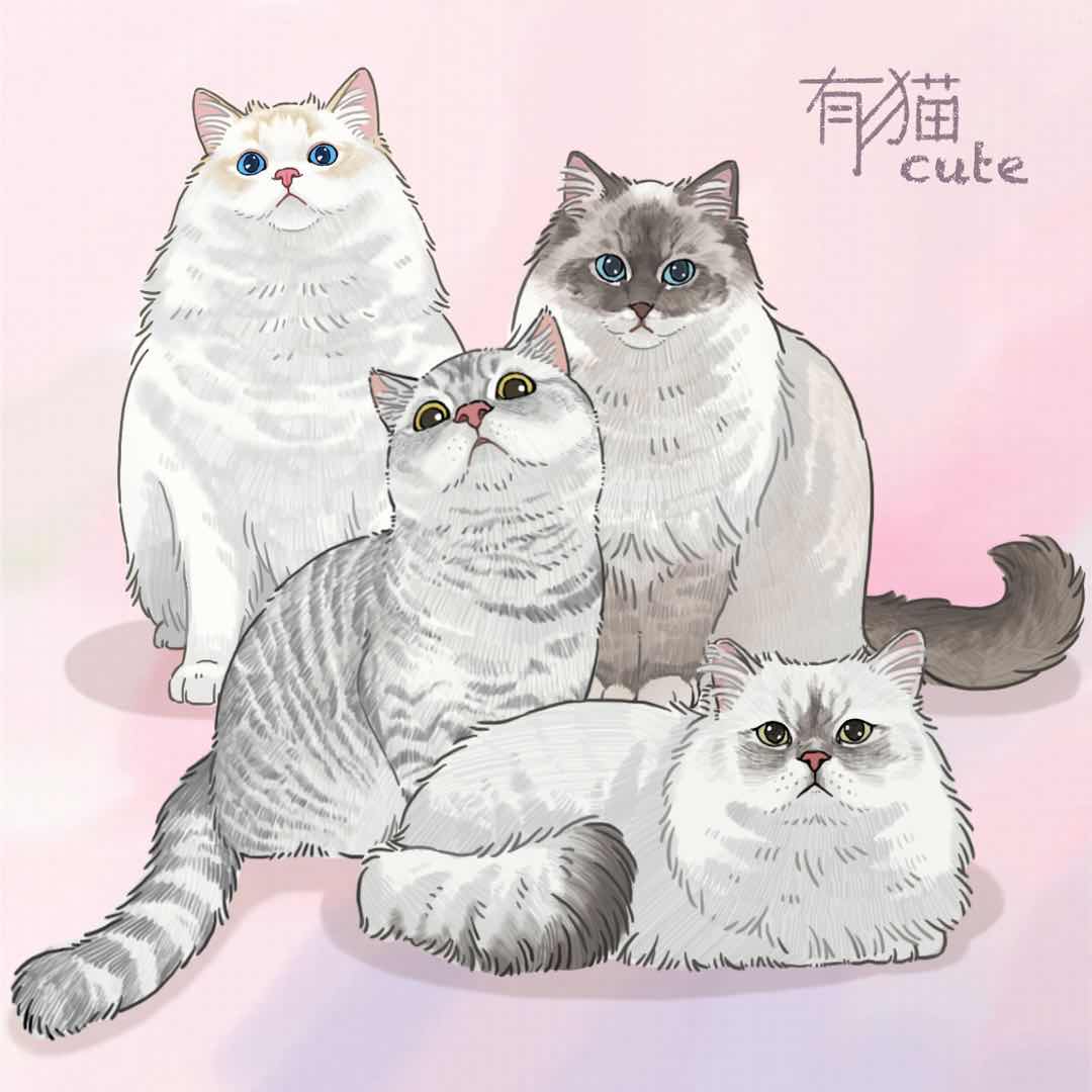 有猫cute