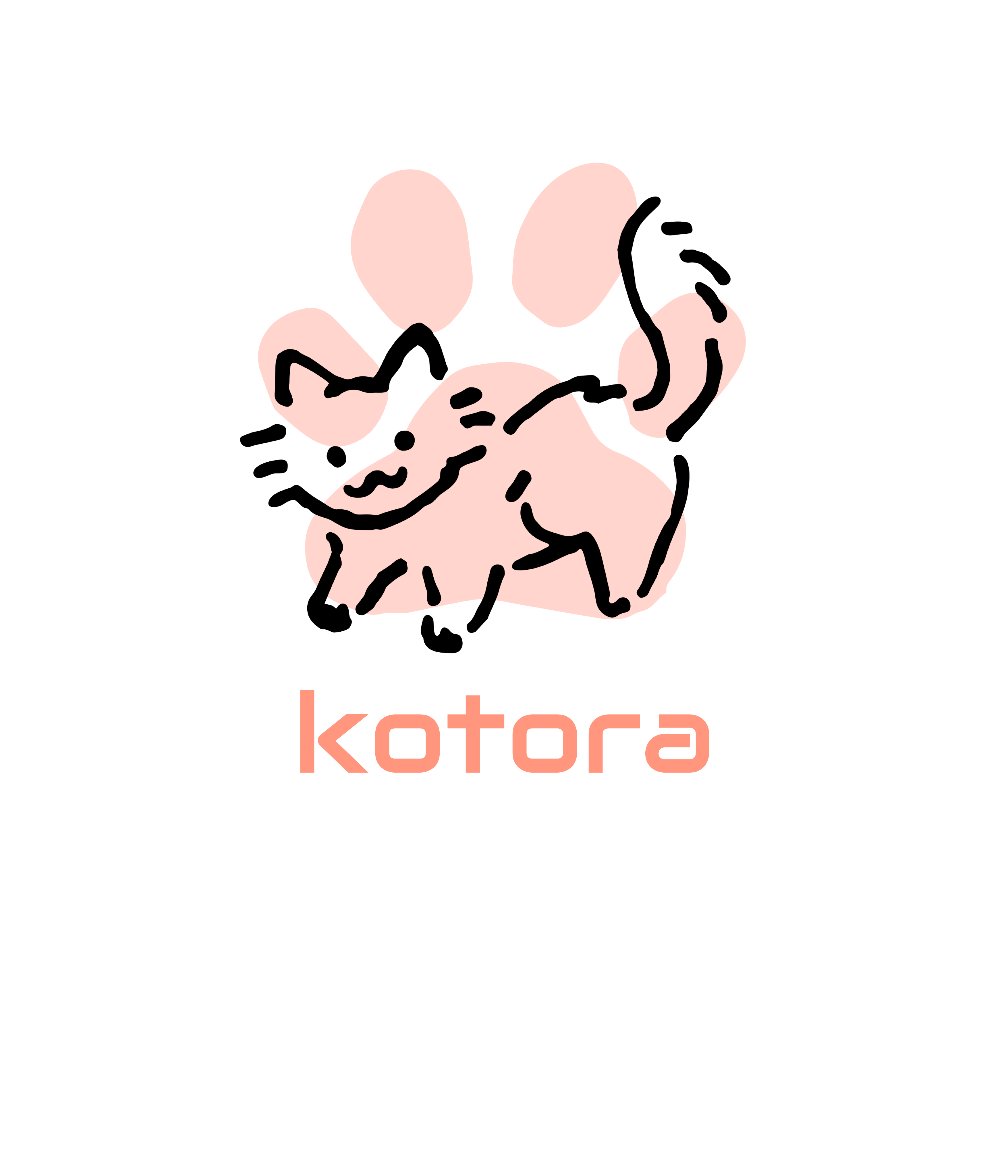  kotora小脑斧
