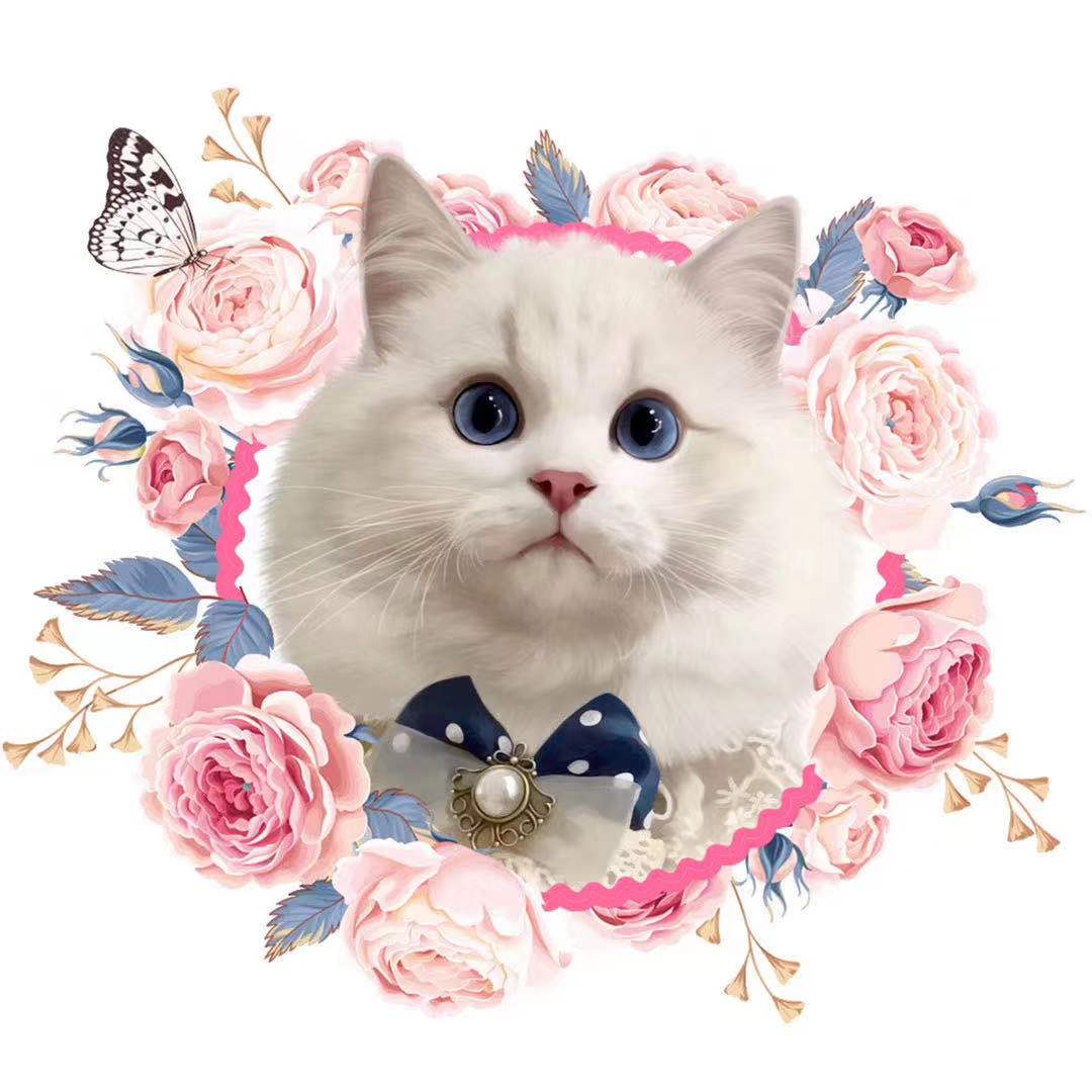 黑豆噗噗的小卖部