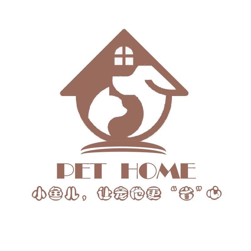 小鱼儿萌宠之家