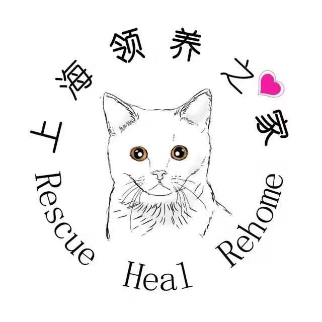 领养之家妙趣家