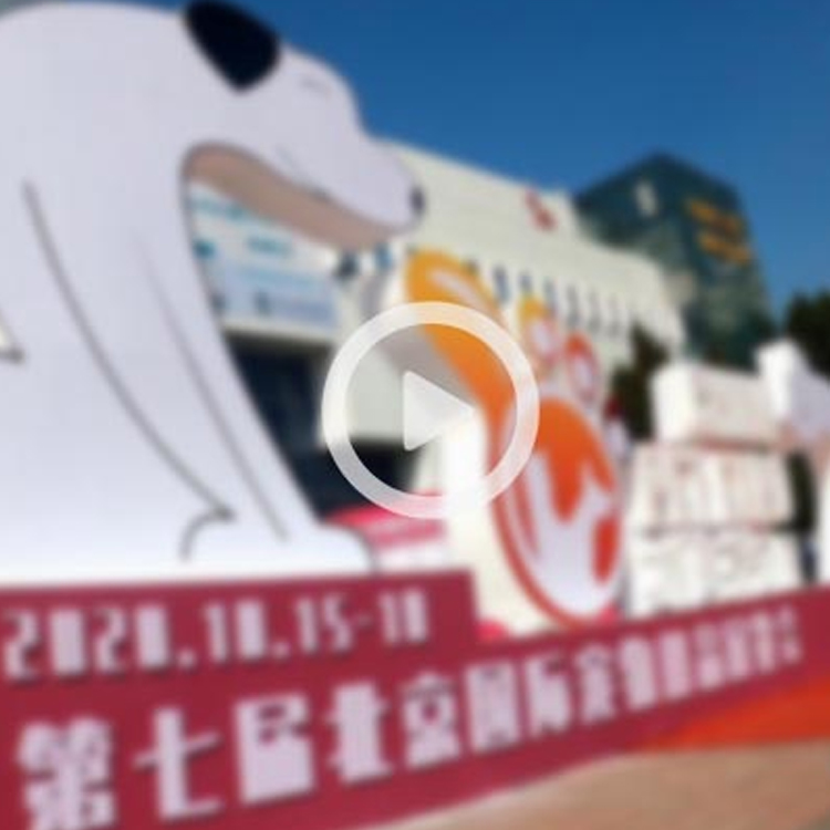 北京京宠展